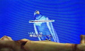 IMG_5327